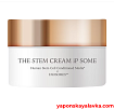 Омолаживающий увлажняющий крем Direia The Stem cream IP Some 30 г
