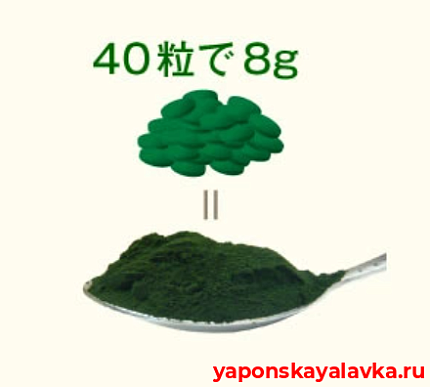 картинка Спирулина SGF ALGAE  1800 штук на 45 дней