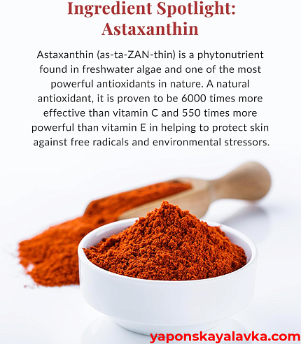 картинка Крем для лица с астаксантином и коллагеном DHC АSTAXANTHIN COLLAGEN 40 г